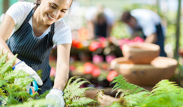 Smiling plant nursery worker