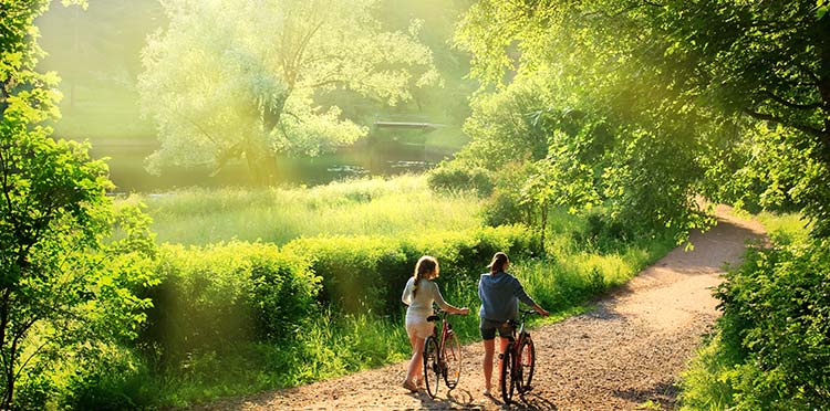 Peaceful morning bike ride