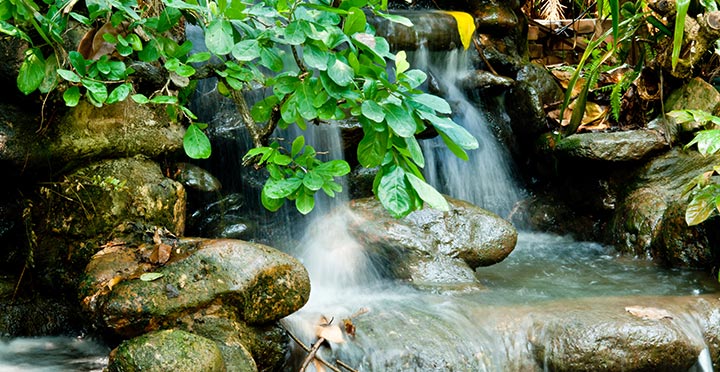 Brook flowing over rocks