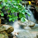 Brook flowing over rocks